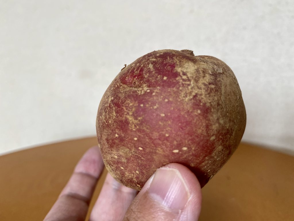 ココノミ　じゃがいも